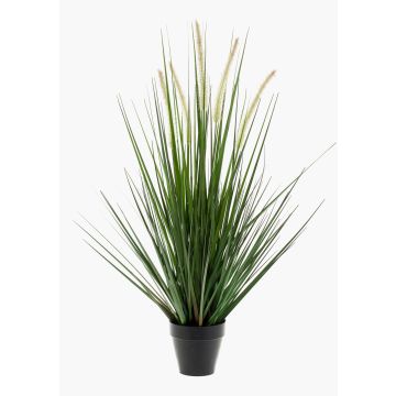 Herbe décorative OTIS avec panicules, vert, 70cm