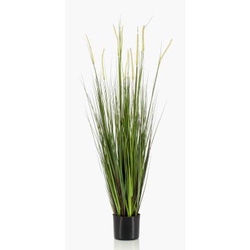 Herbe décorative OTIS avec panicules, vert, 120cm Herbe décorative OTIS avec panicules, vert, 120cm