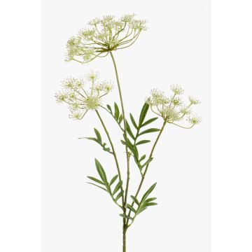 Branche décorative d'Aneth HAKIM avec fleurs, blanc, 80cm Branche décorative d'Aneth HAKIM avec fleurs, blanc, 80cm