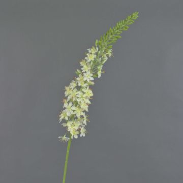 Fleur artificielle lis des steppes SELINA, crème, 105cm, Ø9cm Fleur artificielle lis des steppes SELINA, crème, 105cm, Ø9cm