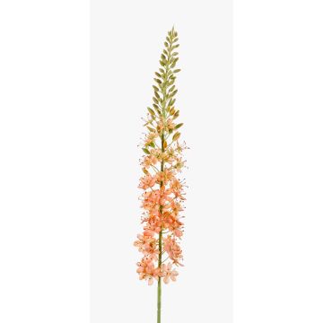 Fleur artificielle lis des steppes SELINA, rose-crème, 105cm, Ø9cm Fleur artificielle lis des steppes SELINA, rose-crème, 105cm, Ø9cm