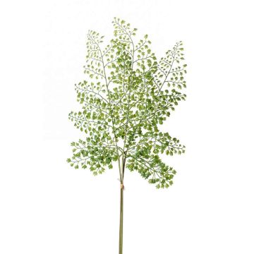 Branche artificielle de Fougère cheveux de vénus HALIMA, vert, 60cm Branche artificielle de Fougère cheveux de vénus HALIMA, vert, 60cm