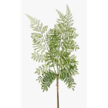 Branche artificielle de Fougère bouclier HALIMA, vert, 60cm