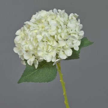 Fleur en tissu Hortensia EGIA, crème, 50cm