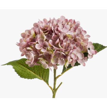 Fleur en tissu Hortensia EGIA, rose, 50cm, Ø16cm Fleur en tissu Hortensia EGIA, rose, 50cm, Ø16cm