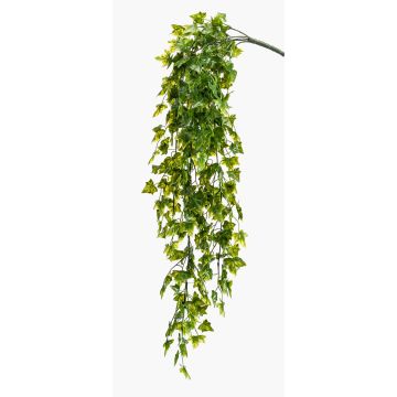 Buisson de lierre artificiel ZASE à planter, crossdoor, vert, 75cm