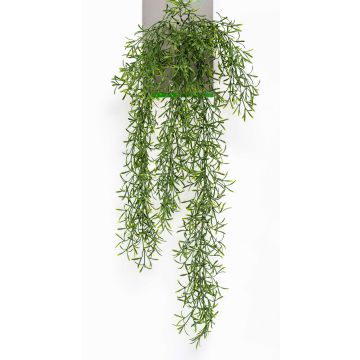 Cactus artificiel Rhipsalis PUEBLA à planter, vert, 75cm Cactus artificiel Rhipsalis PUEBLA à planter, vert, 75cm
