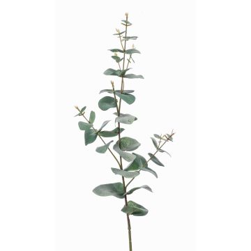 Branche décorative d'Eucalyptus CALLIOPE, vert-gris, 70cm