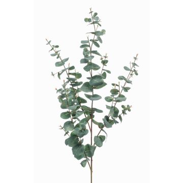 Branche décorative d'Eucalyptus CALLIOPE, vert-gris, 115cm