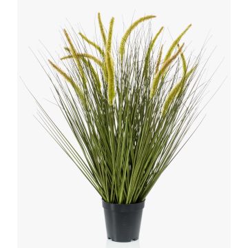 Graminée décorative CAREL avec panicules, vert, 70cm