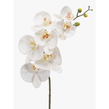 Tige d'orchidée artificielle NEITH, blanc, 85cm