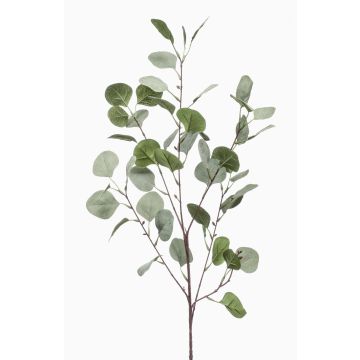 Branche d'eucalyptus décorative COLTON, vert-gris, 85cm