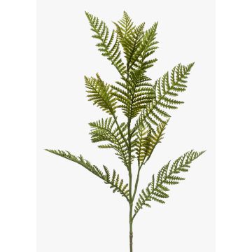 Branche de Fougère de Boston artificielle ENRIKE, vert, 80cm