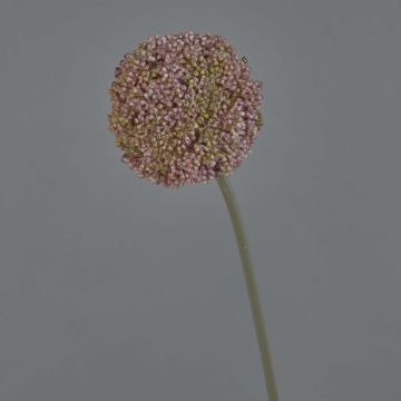 Allium artificiel BOUTROS, violet, 75cm