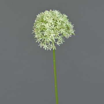 Fausse fleur Allium ARNAU, crème-vert, 60cm