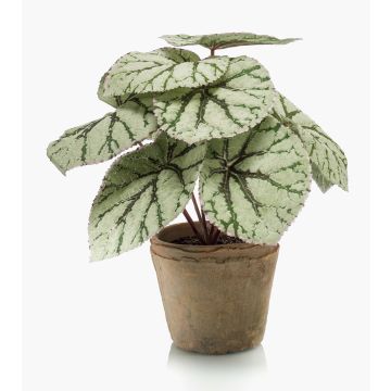 Plante artificielle: bégonia à feuilles MEIRA dans un pot en terre cuite, vert-gris, 25cm