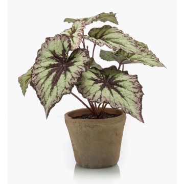 Plante artificielle: bégonia à feuilles MEIRA dans un pot en terre cuite, vert-violet, 25cm Plante artificielle: bégonia à feuilles MEIRA dans un pot en terre cuite, vert-violet, 25cm