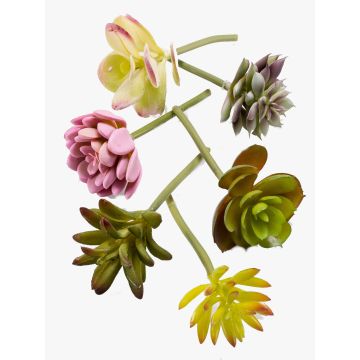 Succulentes artificielles JADON, à piquer, 6 pièces, multicolore, 13cm, Ø5cm