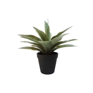 Succulente artificielle Agave DESIREE, vert, 20cm, Ø25cm Succulente artificielle Agave DESIREE, vert, 20cm, Ø25cm