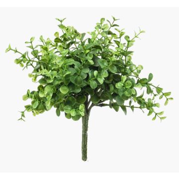 Eucalyptus décoratif JOSHUA à planter, vert, 20cm, Ø17cm