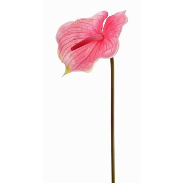 Fleur de flamant rose artificielle MOIRA, fuchsia-rose, 75cm, 13x18cm Fleur de flamant rose artificielle MOIRA, fuchsia-rose, 75cm, 13x18cm