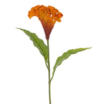 Fleur artificielle « crête de coq » ANUBIS, orange, 60 cm, Ø 14 cm Fleur artificielle « crête de coq » ANUBIS, orange, 60 cm, Ø 14 cm
