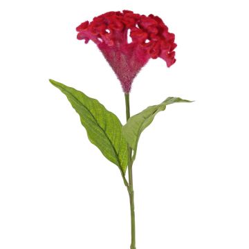 Fleur artificielle en forme de crête de coq ANUBIS, violet-rouge, 60 cm, Ø 14 cm Fleur artificielle en forme de crête de coq ANUBIS, violet-rouge, 60 cm, Ø 14 cm