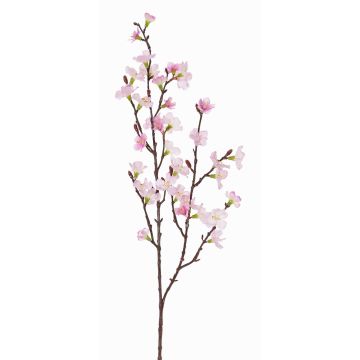 Branche de fleurs de cerisier artificielle ARIELLE, rose-fuchsia, 75cm, Ø1,5-3,5cm Branche de fleurs de cerisier artificielle ARIELLE, rose-fuchsia, 75cm, Ø1,5-3,5cm