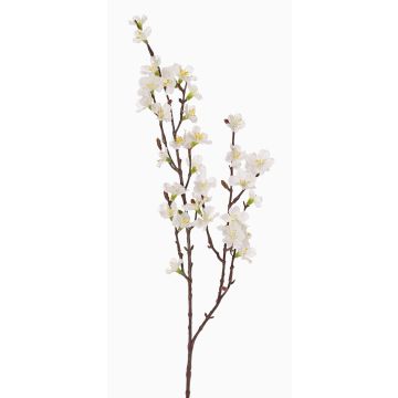 Branche de cerisier artificielle ARIELLE avec fleurs, blanche, 75cm, Ø1,5-3,5cm Branche de cerisier artificielle ARIELLE avec fleurs, blanche, 75cm, Ø1,5-3,5cm