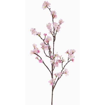 Branche de cerisier synthétique ARIELLE avec fleurs, rose-fuchsia, 100cm, Ø1,5-3,5cm Branche de cerisier synthétique ARIELLE avec fleurs, rose-fuchsia, 100cm, Ø1,5-3,5cm