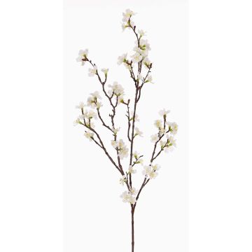 Branche de cerisier artificielle ARIELLE avec fleurs, blanche, 100cm, Ø1,5-3,5cm Branche de cerisier artificielle ARIELLE avec fleurs, blanche, 100cm, Ø1,5-3,5cm