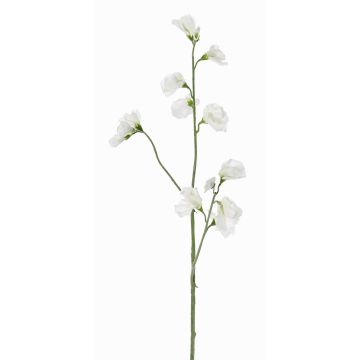 Branche de fleurs artificielles Lathyrus ASFALOTH, blanche, 65cm, Ø3-5cm