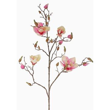 Magnolia artificiel LORA, rose crème, 110 cm, Ø 10-12 cm Magnolia artificiel LORA, rose crème, 110 cm, Ø 10-12 cm