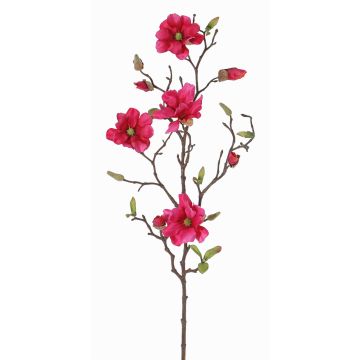 Branche de magnolia artificielle MARGA, fuchsia, 80cm, Ø7-8cm Branche de magnolia artificielle MARGA, fuchsia, 80cm, Ø7-8cm