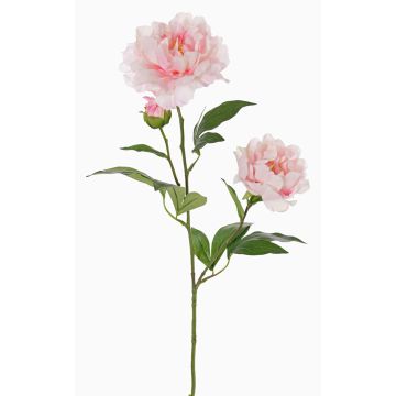 Branche de pivoine artificielle ONYX, crème-rose, 75cm, Ø10-13cm Branche de pivoine artificielle ONYX, crème-rose, 75cm, Ø10-13cm