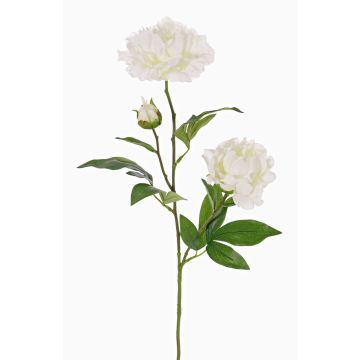 Branche de pivoine artificielle ONYX, crème-blanc, 75cm, Ø10-13cm Branche de pivoine artificielle ONYX, crème-blanc, 75cm, Ø10-13cm