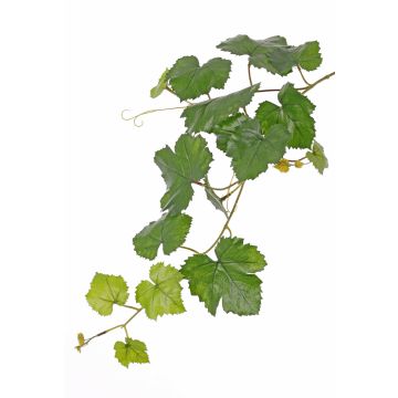 Branche de vigne artificielle BJON, crossdoor, verte, 60cm Branche de vigne artificielle BJON, crossdoor, verte, 60cm