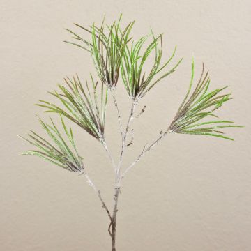 Branche de pin synthétique PEER, givrée, vert-gris, 80cm
