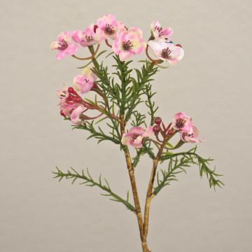 Fleur en cire artificielle AISHA, rose, 27cm, Ø1-1,5cm