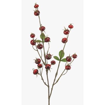 Branche décorative de rosier tubéreux BREVON avec des cynorrhodons, rouge, 80 cm Branche décorative de rosier tubéreux BREVON avec des cynorrhodons, rouge, 80 cm