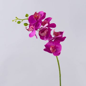 Branche d'orchidée Phalaenopsis artificielle OPHELIA, rose vif, 80 cm, Ø 8-9 cm
