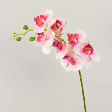 Branche d'orchidée Phalaenopsis artificielle OPHELIA, rose-fuchsia, 80 cm, Ø 8-9 cm