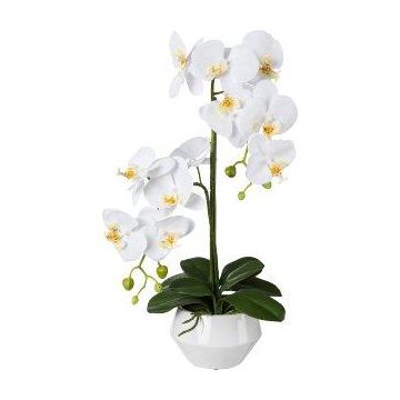 Orchidée Phalaenopsis artificielle KASDA, pot en céramique, racines, blanc, 50cm