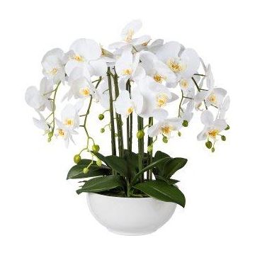 Orchidée Phalaenopsis artificielle KASDA, coupe en céramique, racines, blanc, 55cm Orchidée Phalaenopsis artificielle KASDA, coupe en céramique, racines, blanc, 55cm