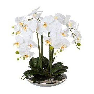 Orchidée Phalaenopsis artificielle MANULO, coupe en céramique argentée, racines, blanc, 40cm