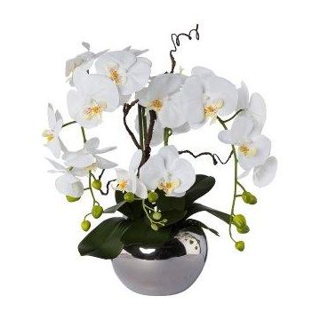 Composition d'orchidée et de saule tire-bouchon artificielle LULUDI, pot en céramique argenté, racines, blanc, 55cm
