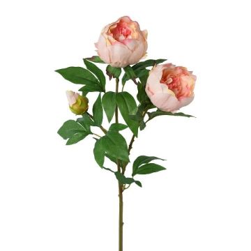 Branche de fleurs artificielles Pivoine SLORVE, saumon, 70cm