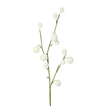 Branche décorative Gomphocarpus physocarpus BRAVON, fruits, blanc, 80cm