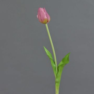 Tulipe synthétique LONA, lilas-vert, 45cm, Ø4cm