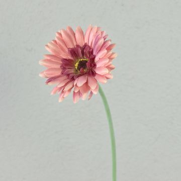Fleur décorative Gerbera TEUDELINDE, vieux rose, 55cm, Ø8cm
